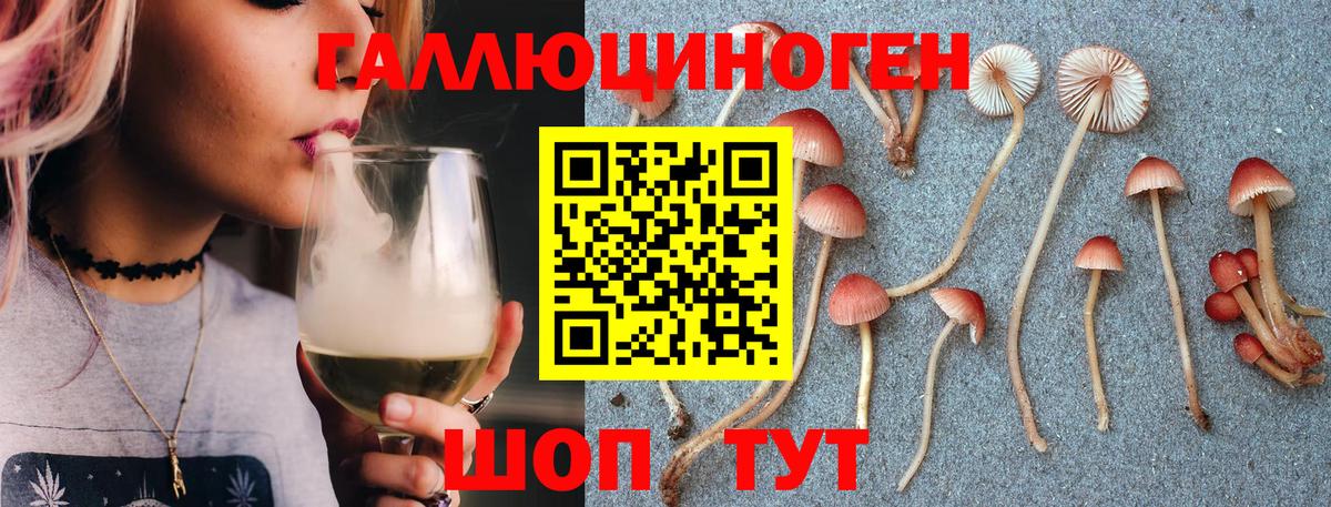 Минусинск  Галлюциногенные грибы MAGIC MUSHROOMS  Вход с VPN  что такое наркотик  Галлюциногенные грибы GOLDEN TEACHER 